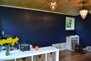 Alyse's Modern-Shed is painted a deep blue and has plenty of natural light.