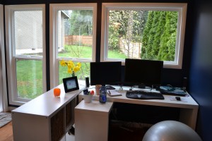 Alyse's Modern-Shed helps her feel more connected to her outdoor space.