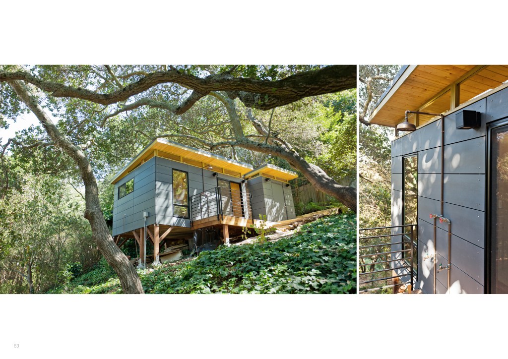 A gray Modern-Shed in quiet woods